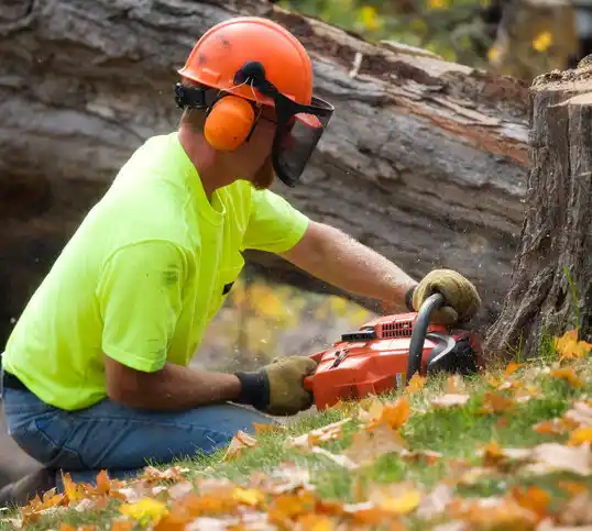 tree services Ironton